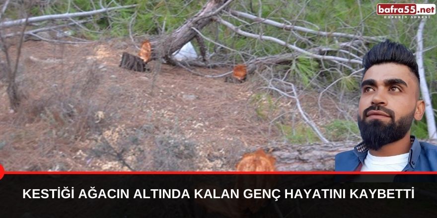 Kestiği ağacın altında kalan genç hayatını kaybetti