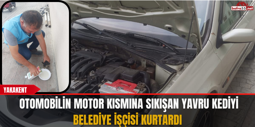 Yakakent’te Otomobilin Motor Kısmına Sıkışan Yavru Kediyi Belediye İşçisi Kurtardı