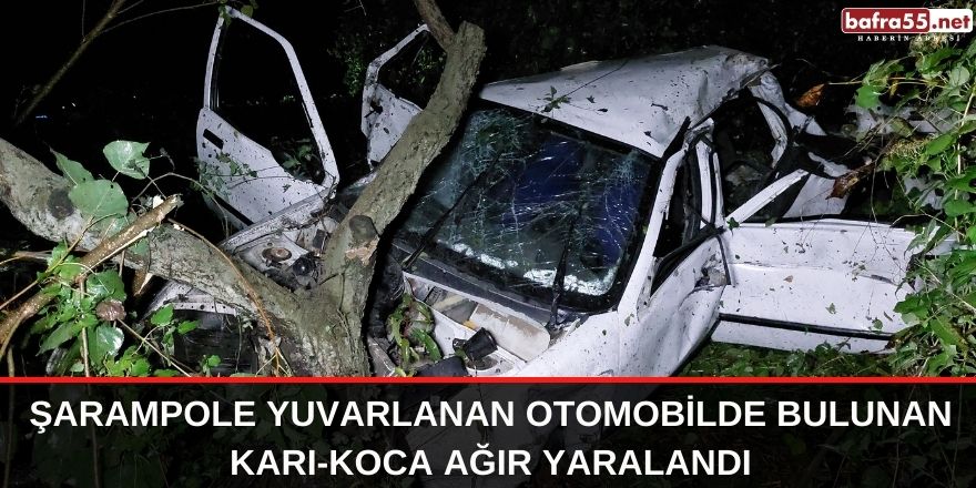 Şarampole yuvarlanan otomobilde bulunan karı-koca ağır yaralandı