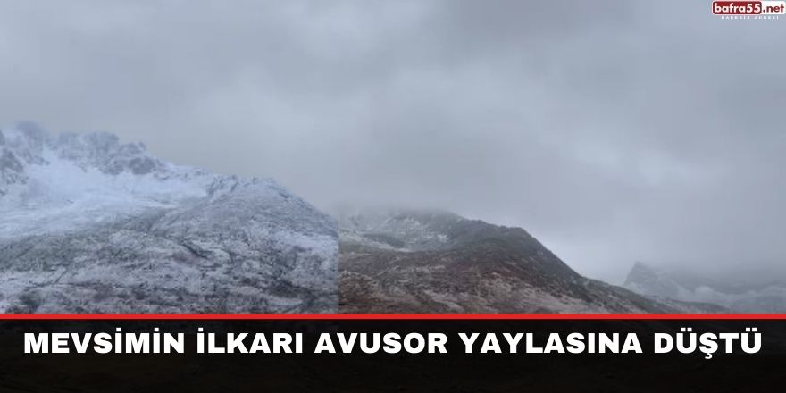 Mevsimin ilkarı Avusor yaylasına düştü