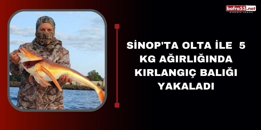 Sinop'ta olta ile  5 kg ağırlığında Kırlangıç balığı yakaladı