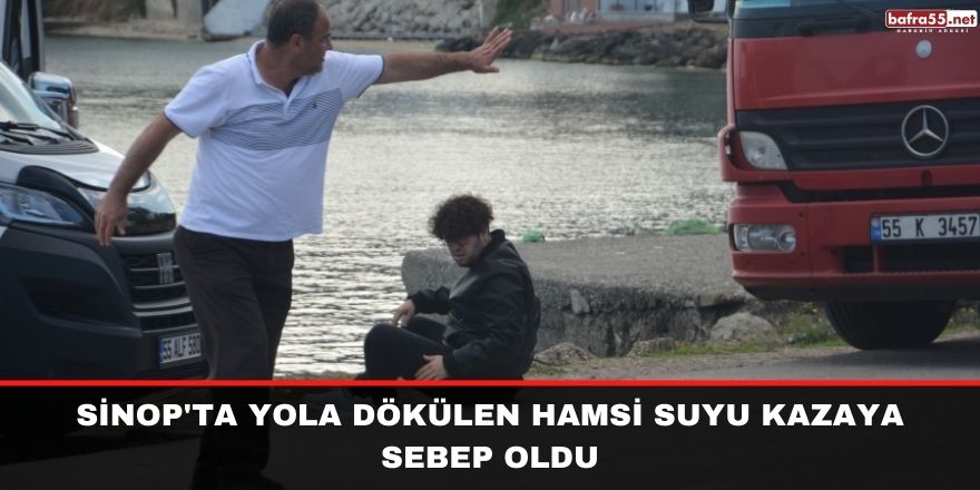 Sinop'ta yola dökülen hamsi suyu kazaya sebep oldu