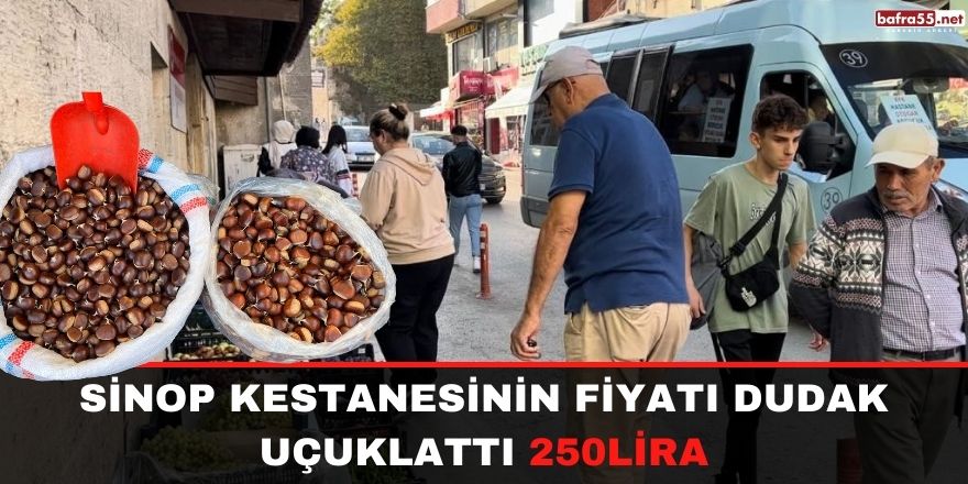 Sinop kestanesinin fiyatı dudak uçuklattı 250 lira