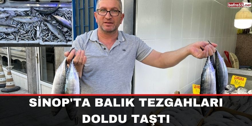 Sinop'ta Balık tezgahları doldu taştı