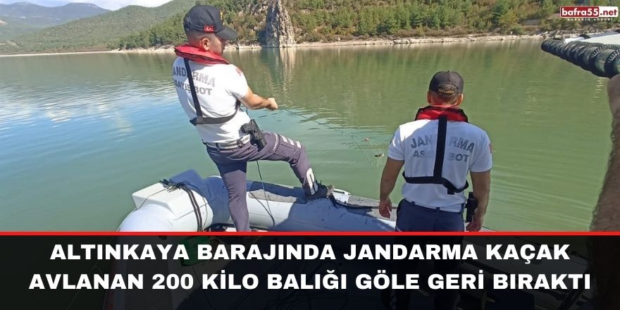 Altınkaya Barajında Jandarma kaçak avlanan 200 kilo balığı göle geri bıraktı