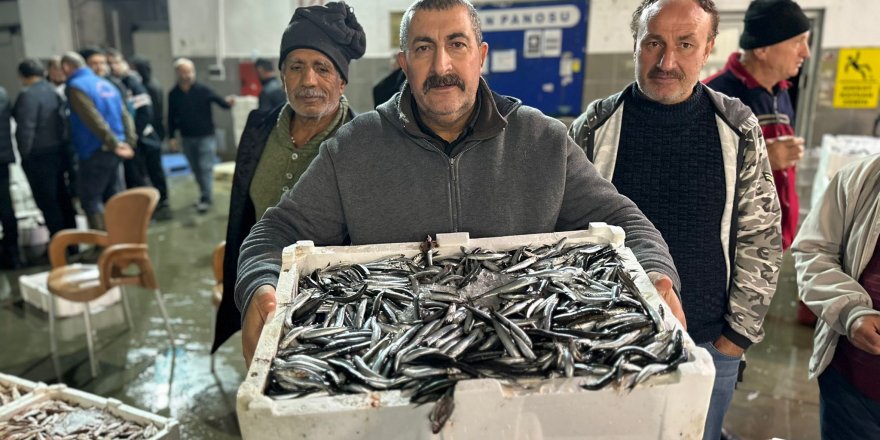 Balık mezadında kasalar dolusu hamsi kapış kapış satıldı