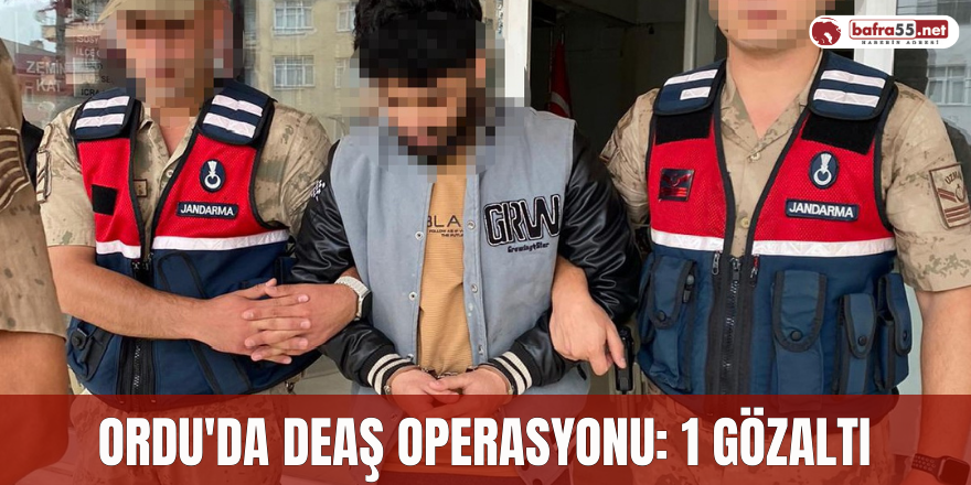 Ordu'da DEAŞ Operasyonu: 1 Gözaltı