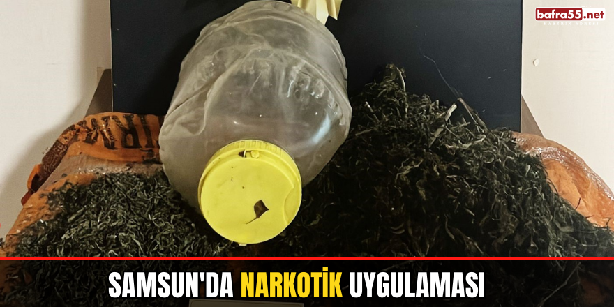 Samsun'da Narkotik Uygulaması