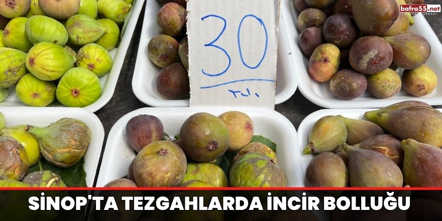 Sinop'ta tezgahlarda incir bolluğu