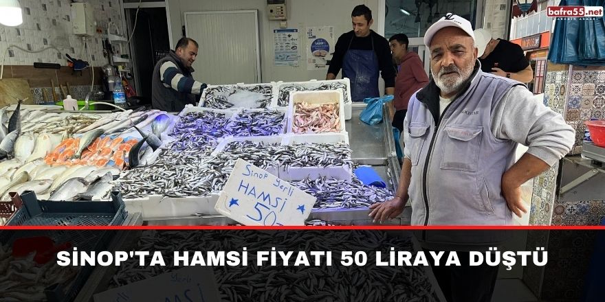 Sinop'ta Hamsi fiyatı 50 liraya düştü