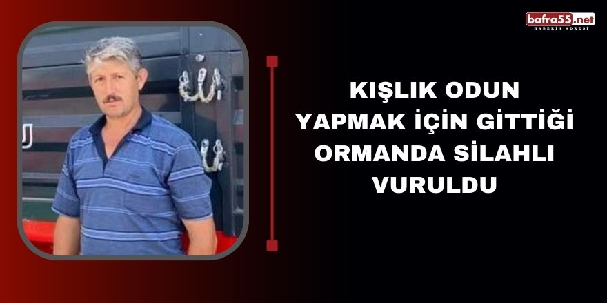 Kışlık odun yapmak için gittiği ormanda silahlı vuruldu