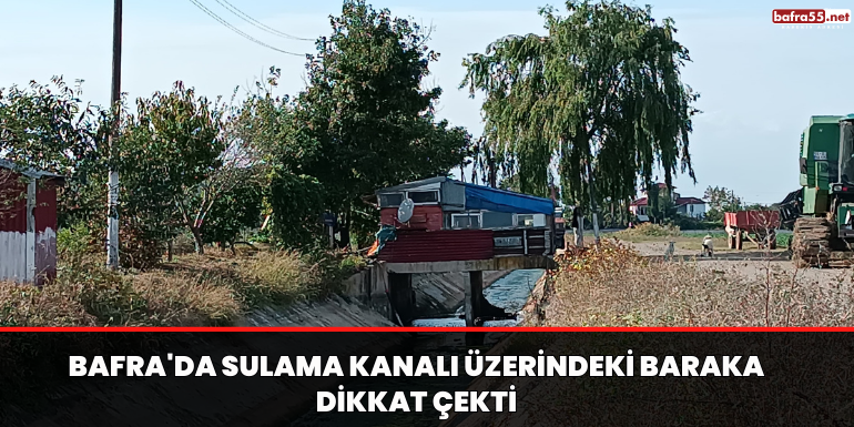 Bafra'da sulama kanalı üzerindeki baraka dikkat çekti