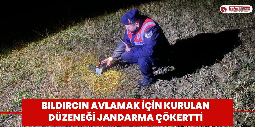 Bıldırcın avlamak için kurulan düzeneği jandarma çökertti