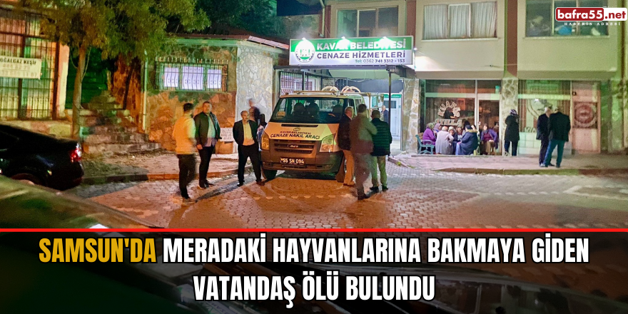 Samsun'da meradaki hayvanlarına bakmaya giden vatandaş ölü bulundu