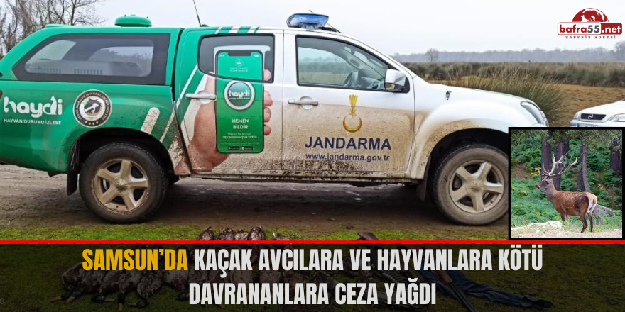 Samsun’da kaçak avcılara ve hayvanlara kötü davrananlara ceza yağdı