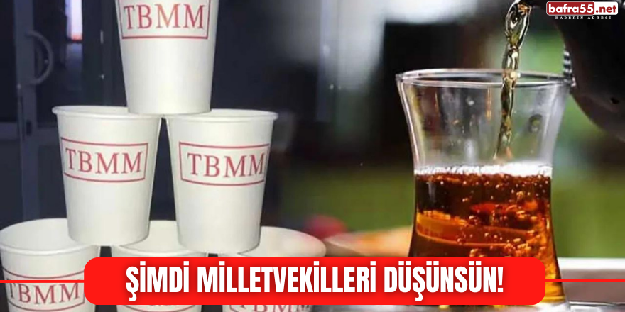 Şimdi Milletvekilleri Düşünsün!