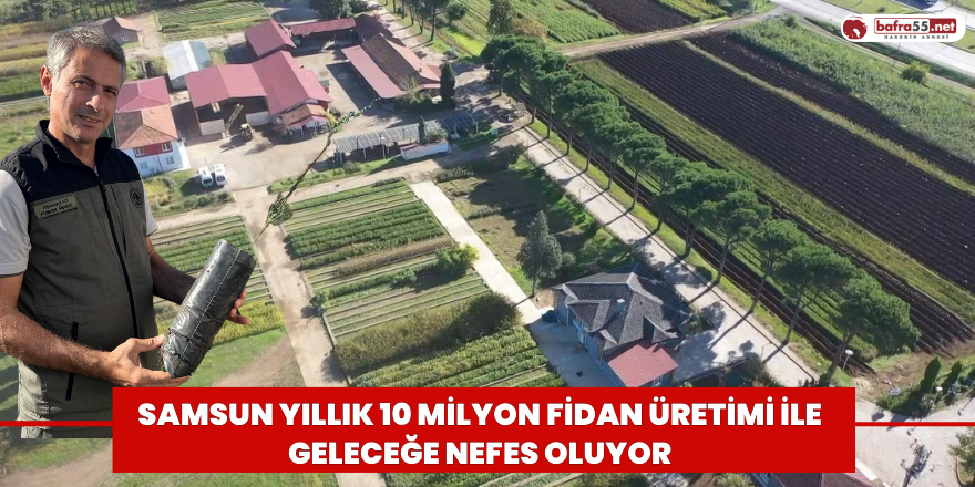 Samsun Yıllık 10 Milyon Fidan Üretimi İle Geleceğe Nefes Oluyor