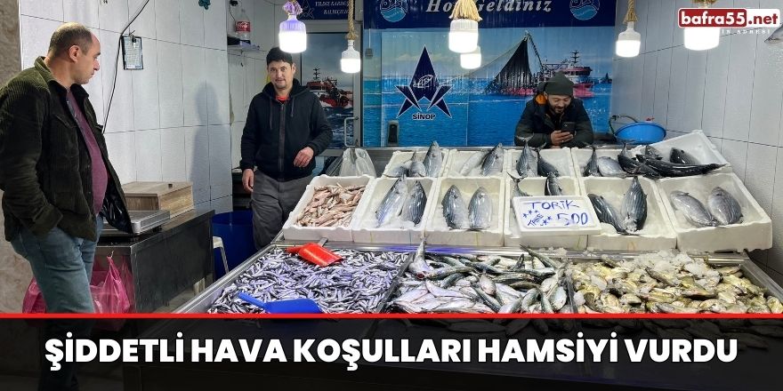 Şiddetli Hava Koşulları Hamsiyi Vurdu