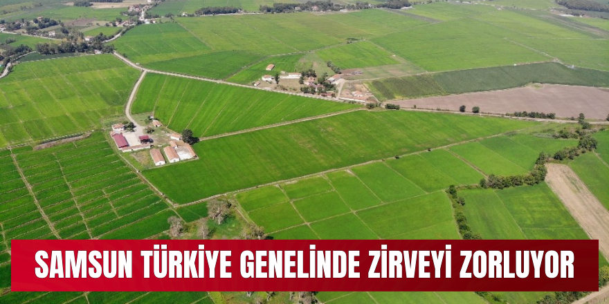 Samsun Türkiye Genelinde Zirveyi Zorluyor