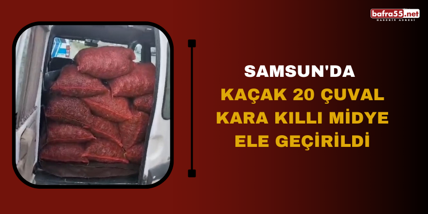 Samsun'da kaçak 20 çuval kara kıllı midye ele geçirildi