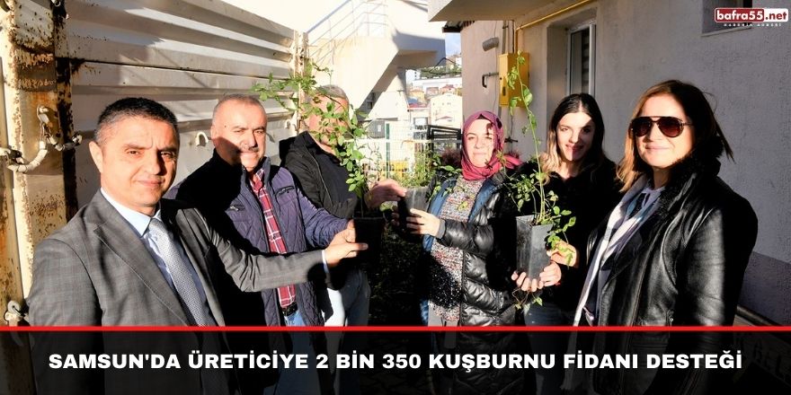 Samsun'da Üreticiye 2 bin 350 kuşburnu fidanı desteği