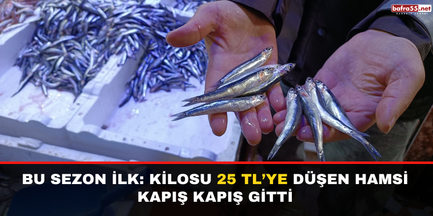 Bu sezon ilk: Kilosu 25 TL’ye düşen hamsi kapış kapış gitti