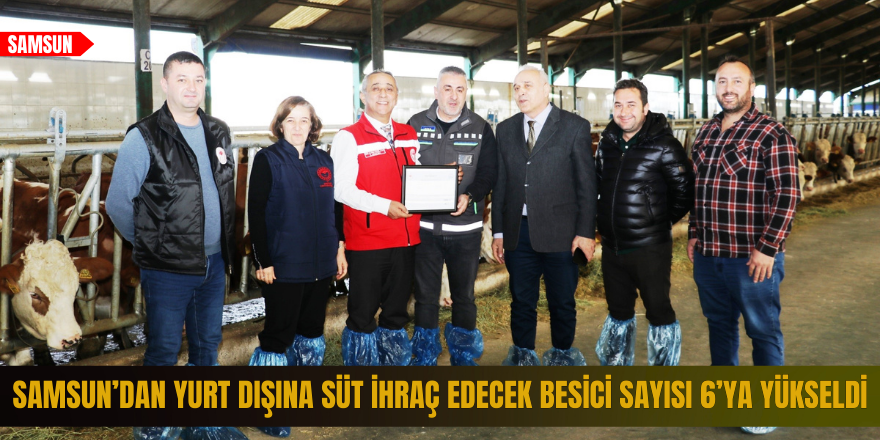 Samsun’dan yurt dışına süt ihraç edecek besici sayısı 6’ya yükseldi