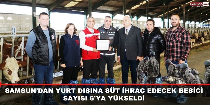 Samsun’dan yurt dışına süt ihraç edecek besici sayısı 6’ya yükseldi