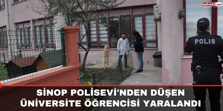 Sinop Polisevi'nden düşen üniversite öğrencisi yaralandı