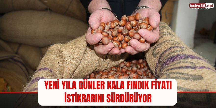 Yeni yıla günler kala fındık fiyatı istikrarını sürdürüyor