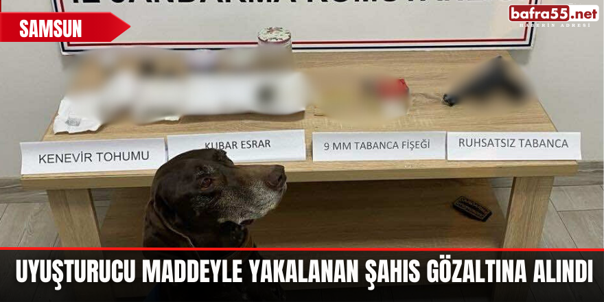 Uyuşturucu maddeyle yakalanan şahıs gözaltına alındı