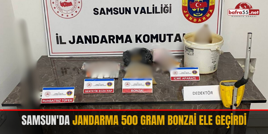 Samsun'da jandarma 500 gram bonzai ele geçirdi