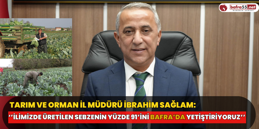 Müdür Sağlam: İlimizde üretilen sebzenin yüzde 91’ini Bafra’da yetiştiriyoruz