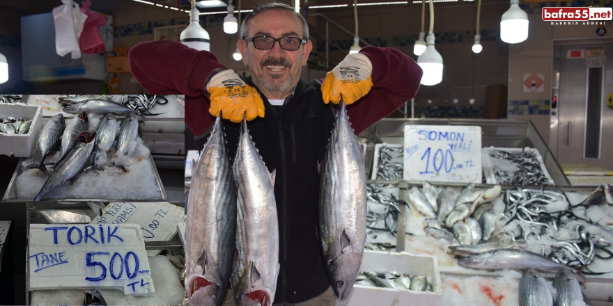 Sinop'ta 3 ve 5 kilogram arası torikler 500 TL