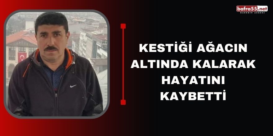 Kestiği ağacın altında kalarak hayatını kaybetti