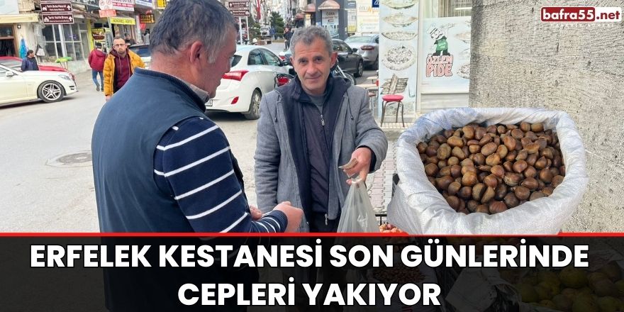 Erfelek Kestanesi son günlerinde cepleri yakıyor