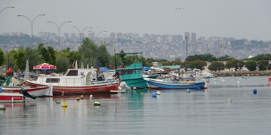 Balıkçılara gemilerinin boy uzunluğuna göre destek ödemesi yapılacak