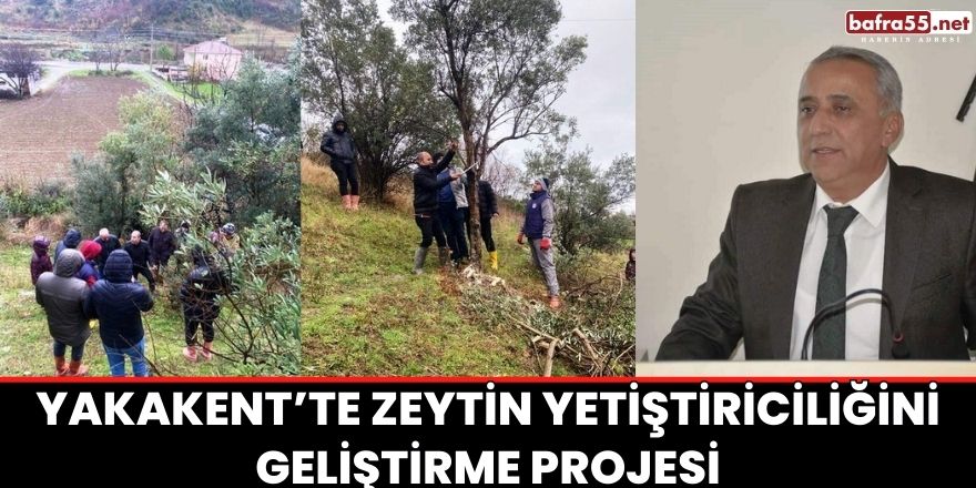 YAKAKENT’TE ZEYTİN YETİŞTİRİCİLİĞİNİ GELİŞTİRME PROJESİ