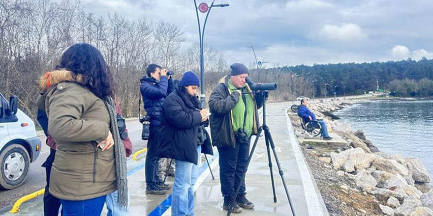 Sinop'ta su kuşu sayımı