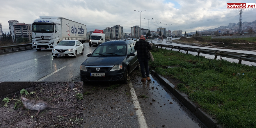 Samsun'da trafik kazası