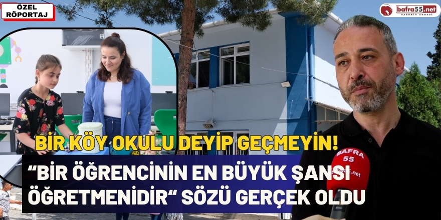 Ormanlarda 'çam kese böceği' tehlikesi