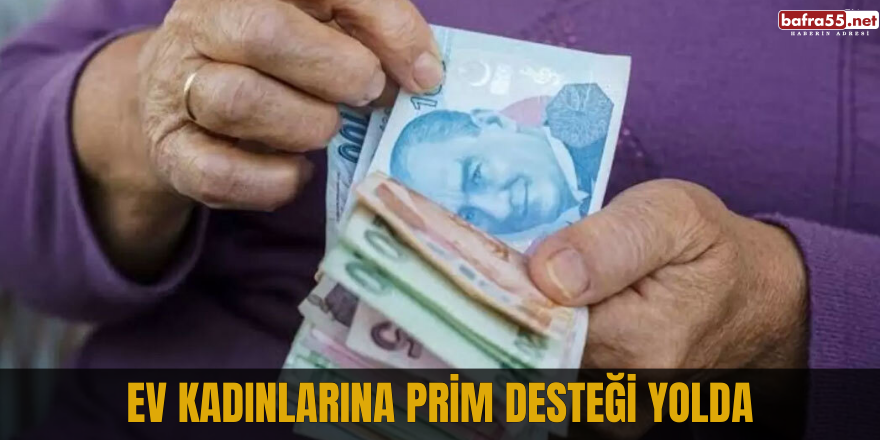 Ev kadınlarına prim desteği yolda