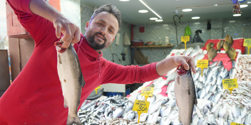 Samsun'da kilosu 30 TL'ye satılan balıklara ilgi yok denecek kadar az