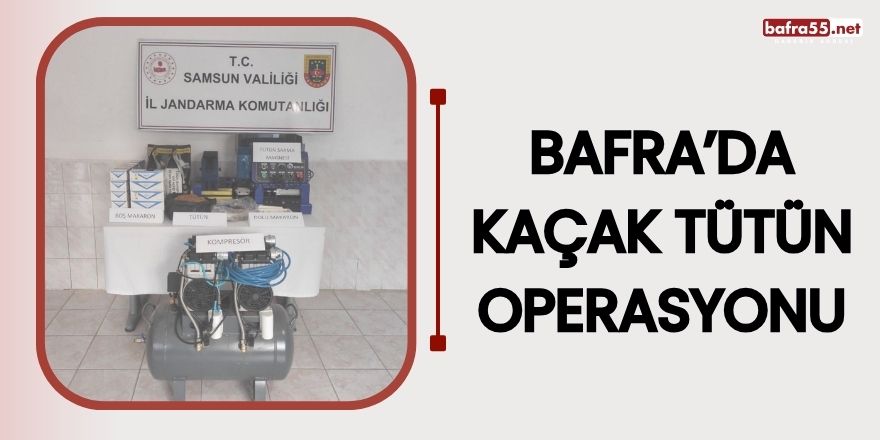 Bafra’da kaçak tütün operasyonu