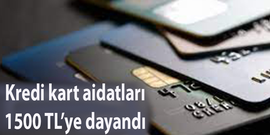 Kredi kart aidatları 1500 TL’ye dayandı