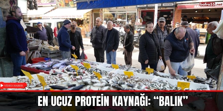 En ucuz protein kaynağı: “Balık”