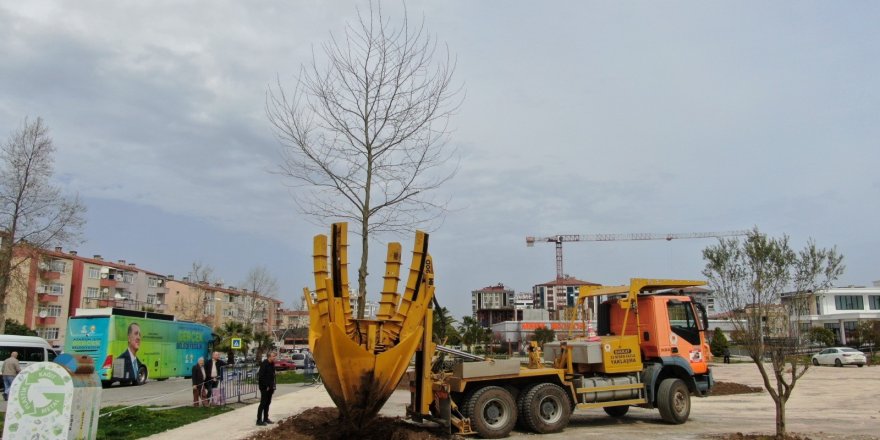 Samsun'da Kütüphane Parkı'nda Peyzaj Çalışmaları