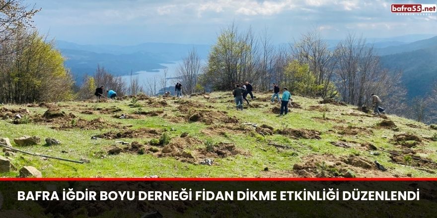 Bafra İğdir Boyu Derneği Fidan Dikme Etkinliği Düzenlendi