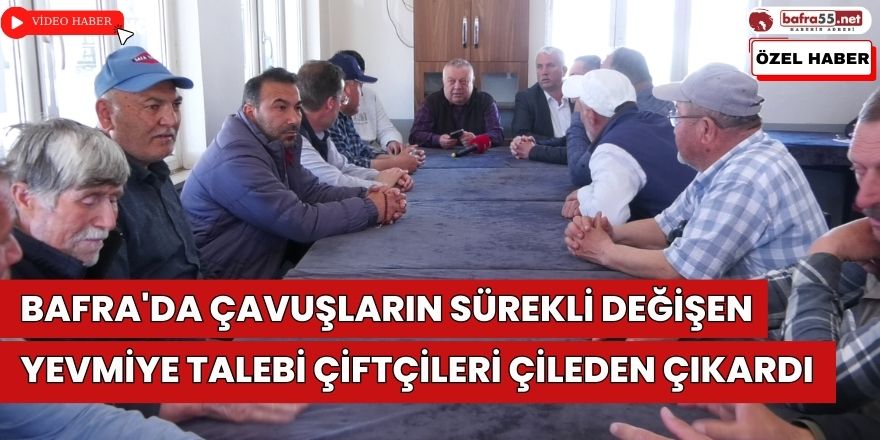 Bafra'da Çavuşların Sürekli Değişen Yevmiye Talebi Çiftçiyi Çileden Çıkardı