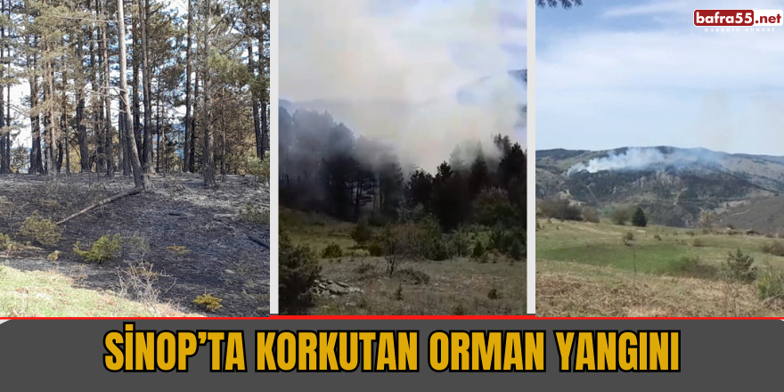 Sinop’ta korkutan orman yangını